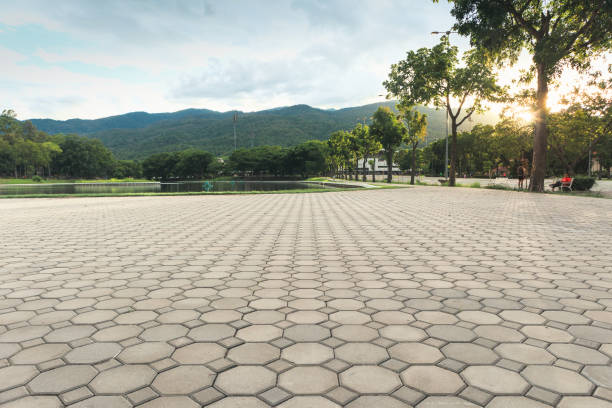 Commercial Driveway Pavers in Benavides, TX